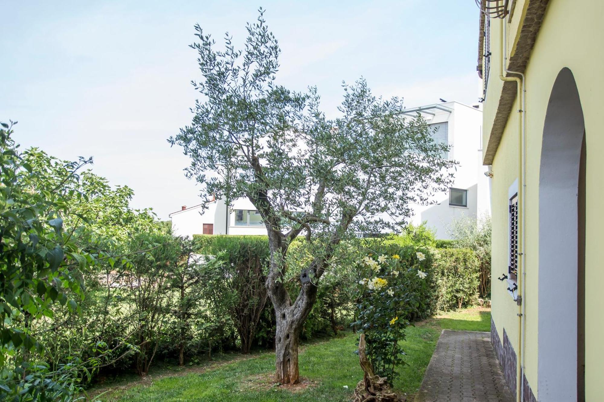 Zonta Rovinj