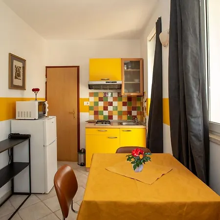 Apartments Zonta 800 M From Beach Rovinj Exterior photo